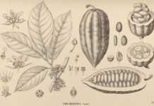 Lire aussi 1 Lire aussi 1