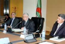 Algérie : à grands pas vers la réforme de la Constitution