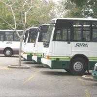 arton23596