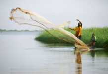 RDC : Elles se prostituent pour vendre du poisson RDC : Elles se prostituent pour vendre du poisson