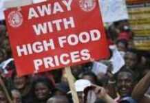 Se nourrir : droit ou luxe en terre africaine au XXI siècle ? Se nourrir : droit ou luxe en terre africaine au XXI siècle ?