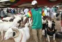 Tabaski, la politique s’invite à la fête Tabaski, la politique s’invite à la fête