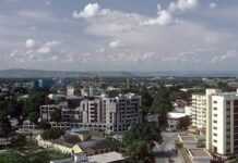 Congo Brazzaville : la question pygmée Congo Brazzaville : la question pygmée