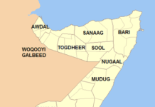 Accord en pointillé sur une organisation politique fédérale en Somalie SOMALIE regions