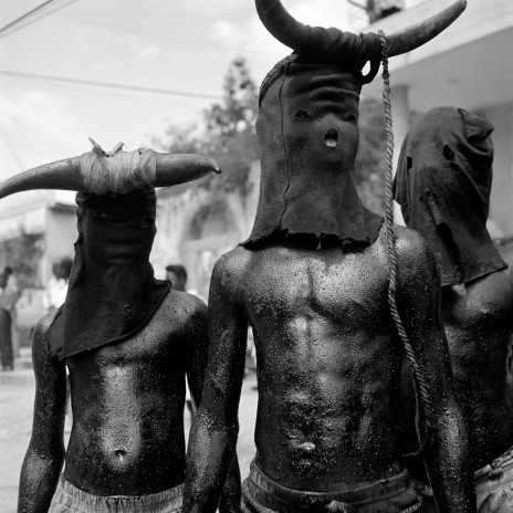 hommes ou taureaux? hommes ou taureaux?