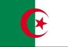 Algérie : Les chutes de neige paralysent plusieurs régions du pays Algérie : Les chutes de neige paralysent plusieurs régions du pays