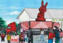 Le MuMo dévoilé aux enfants africains arton24810.jpg