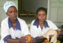 La filière de la mangue au Mali se modernise