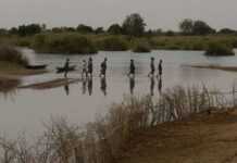 Mali :  le fleuve Niger menacé par l’extraction du sable