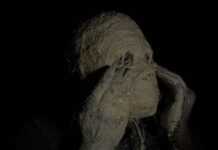 «Histoires d’artistes » d’Isaac Essoua Essoua dit Malam malam1.jpg