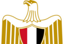 Egypte : Un député salafiste confond agression et rhinoplastie Egypte : Un député salafiste confond agression et rhinoplastie