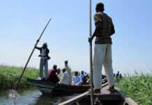 Afrique : le lac Tchad se tarit