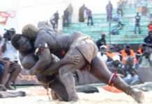 Sénégal : Balla Gaye 2, roi des arènes Sénégal : Balla Gaye 2, roi des arènes