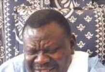 Sénégal : Cheikh Bethio Thioune arrêté pour meurtre Sénégal : Cheikh Bethio Thioune arrêté pour meurtre