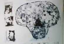 Congo : «  Manifeste », une exposition signée Gastineau Massamba Congo : «  Manifeste », une exposition signée Gastineau Massamba