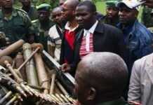RDC : la bataille du Nord-Kivu reprendra-t-elle ? 25_tonnes_armes_recuperees_bosco_ntaganda_cavale4.jpg