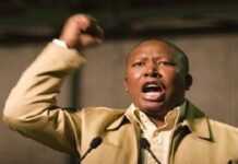Afrique du Sud : Julius Malema, prêt à « diriger l’ANC » Afrique du Sud : Julius Malema, prêt à « diriger l’ANC »