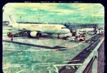 Carnet de voyage : quinze jours en Tunisie arton25616-46dc5.jpg