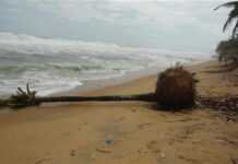 TOGO – UEMOA : des épis pour préserver le littoral  ouest Africain