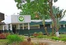 Gabon : nouvelle stratégie de communication à l’Ecole nationale des eaux et forêts Gabon : nouvelle stratégie de communication à l’Ecole nationale des eaux et forêts