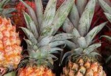 Punch Ananas et citron vert Punch Ananas et citron vert