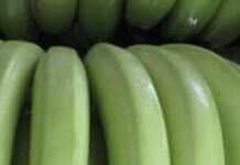 Bananes vertes au lait de coco