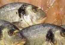 La daurade au M’tsolola La daurade au M’tsolola