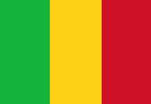 Lettre ouverte du MNLA au président guinéen Alpha Condé