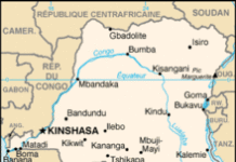 RDC : les hélicoptères de l’ONU ciblent les mutins RDC : les hélicoptères de l’ONU ciblent les mutins