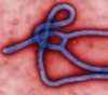 Virus Ebola