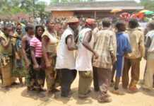 Cameroun : les Pygmées chassés de leurs terres
