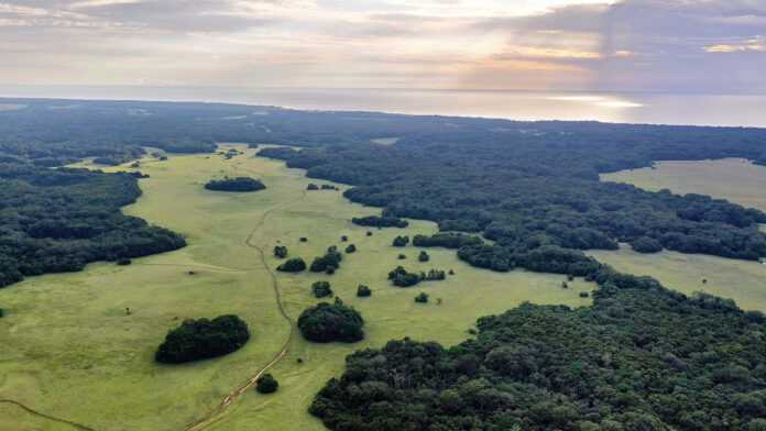 Savane et forêt gabonaise, région de Nyonié © Christian Vigna