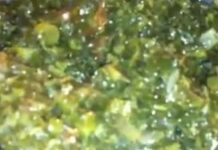 Bitekuteku aux courgettes Bitekuteku aux courgettes