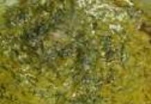 Poisson au Fumbwa