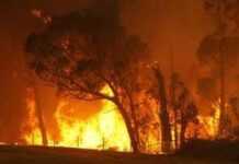 L’Algérie en proie aux flammes