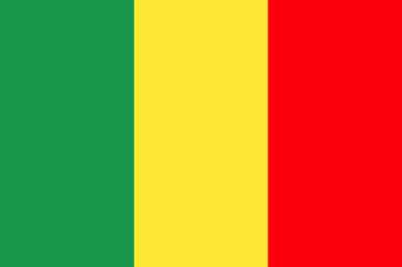 Mali : 24 soldats tués dans un attentat au centre du pays