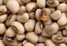 Beignets de niébé Beignets de niébé