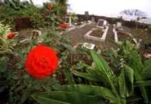 Pourquoi sont-ils tous morts ? Pourquoi sont-ils tous morts ?