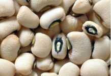 Les haricots burkinabés à la rescousse du Nigeria