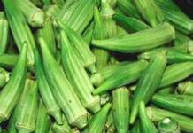 Okras aux tomates Okras aux tomates