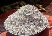 Le manioc