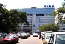 Gabon : la présidence de la République fait pression sur la SEEG