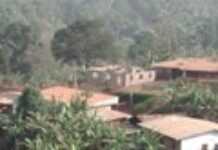 Cinq raisons de désespérer d’un Cameroun émergent en 2035