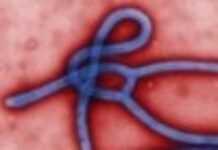 Le virus Ebola de retour en Ouganda