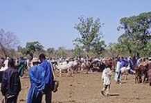 Le Mali bientôt en récession