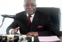 Gabon : Mayila, le renard politique Gabon : Mayila, le renard politique