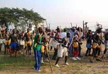 Cameroun : la fête du coq toujours en vogue