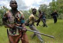 Centrafrique : des villes du Nord-Est entre les mains des rebelles