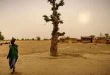 Capitalisme de copinage au Burkina : une bombe à retardement