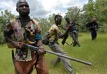 Centrafrique : deux nouvelles villes prises par les rebelles du Séléka